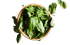 fresh basil leaves