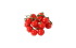 cherry tomatoes