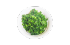 chopped fresh cilantro