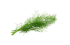 fresh dill