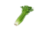 celery